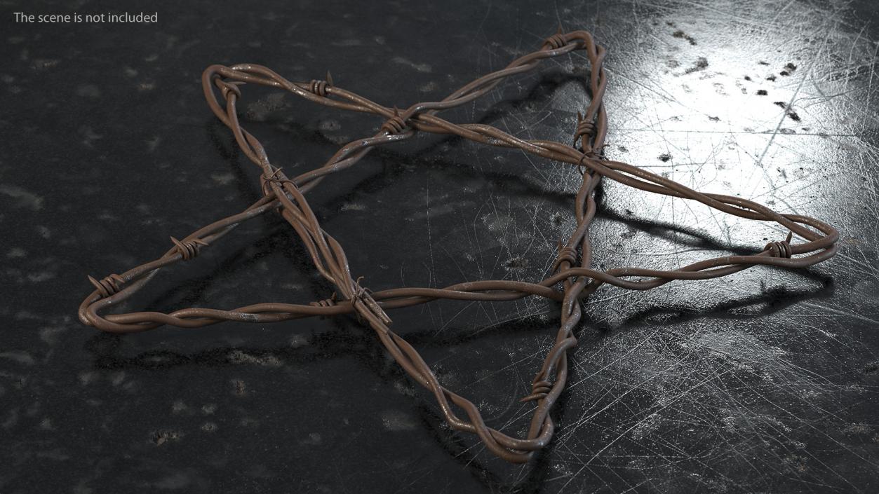 Barbed Wire Star Rusty 3D