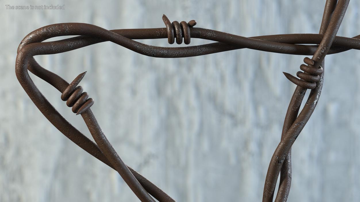 Barbed Wire Star Rusty 3D