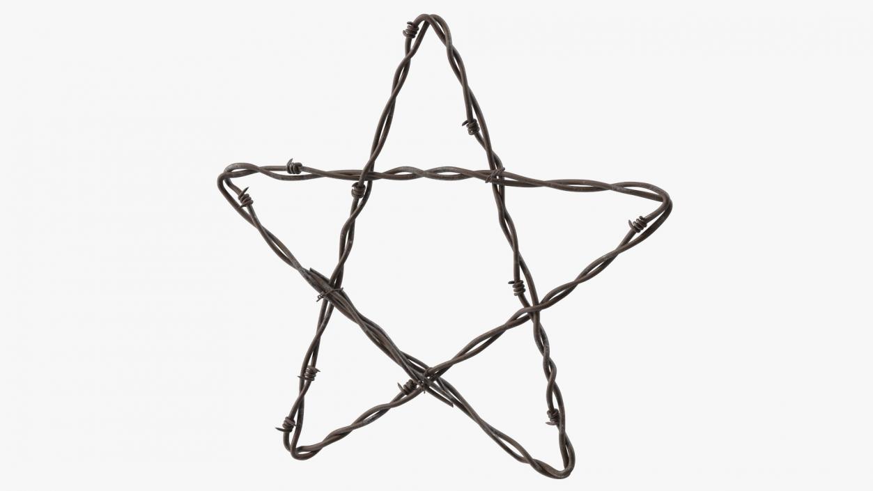 Barbed Wire Star Rusty 3D