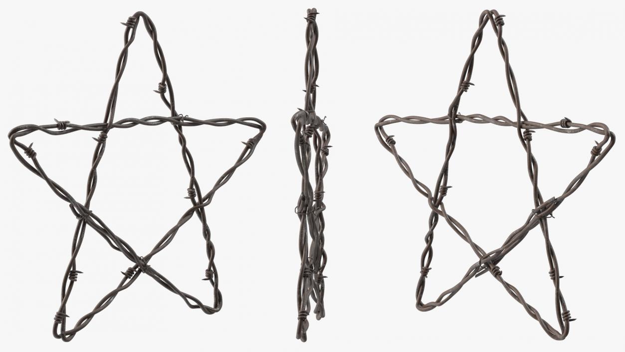 Barbed Wire Star Rusty 3D