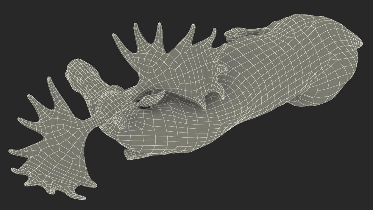 3D Elk Lying Pose Fur model