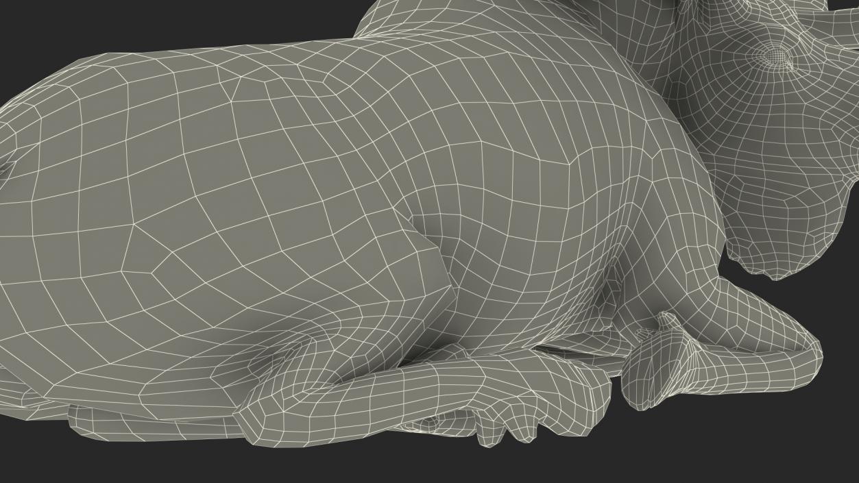 3D Elk Lying Pose Fur model