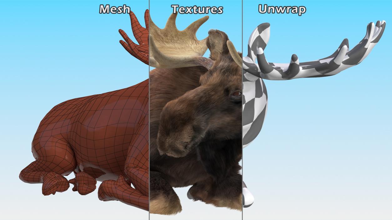 3D Elk Lying Pose Fur model