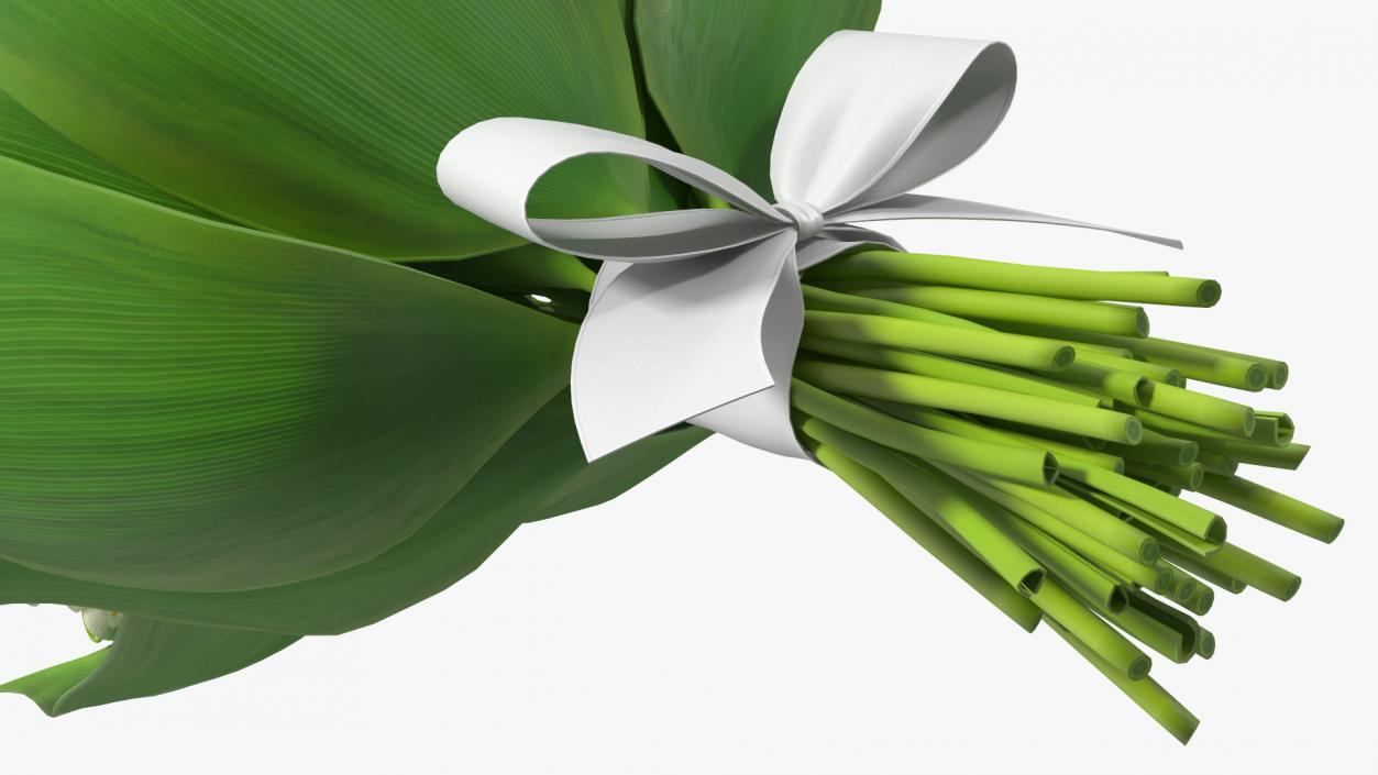 3D model Lily of the Valley Bouquet Big