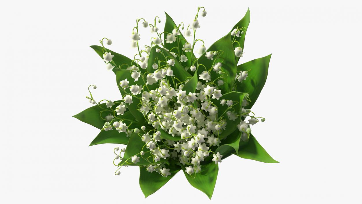 3D model Lily of the Valley Bouquet Big