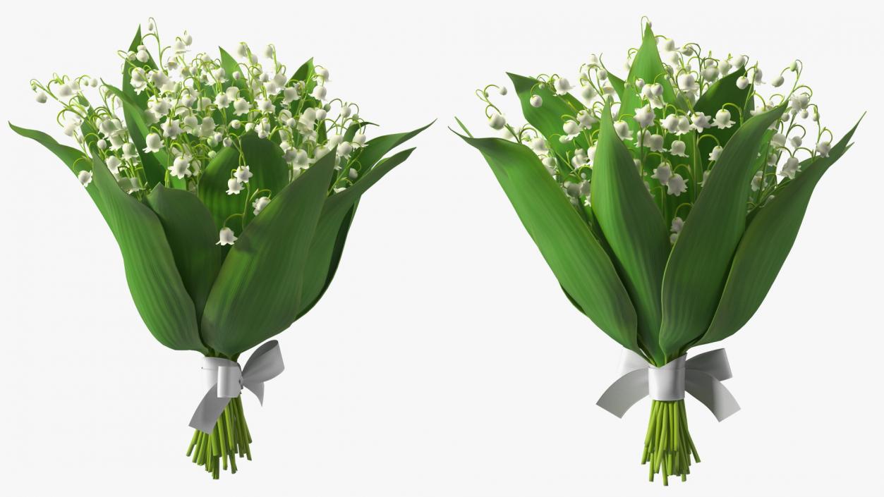 3D model Lily of the Valley Bouquet Big