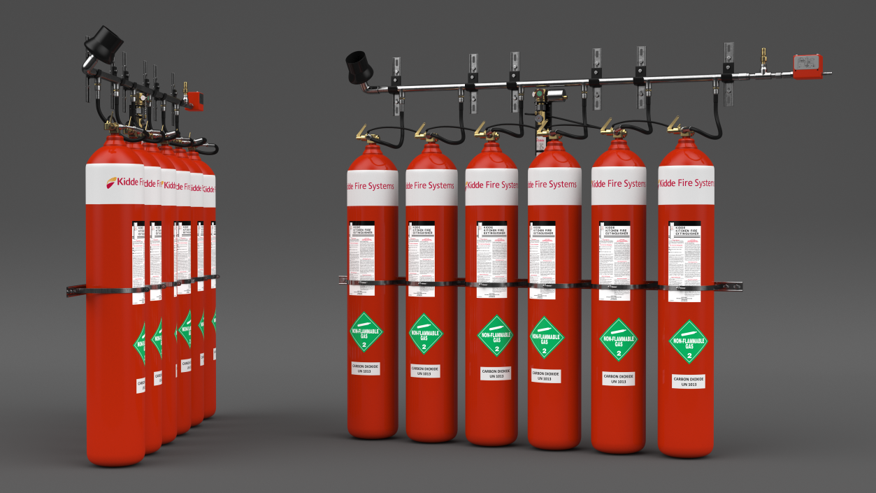 Dioxide Fire Extinguisher System 3D