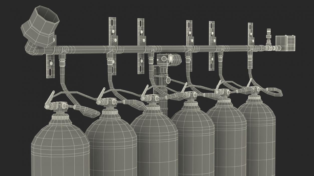 Dioxide Fire Extinguisher System 3D