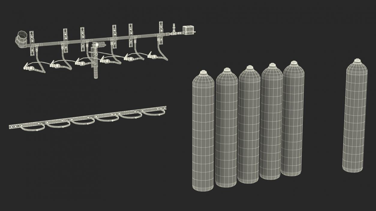 Dioxide Fire Extinguisher System 3D