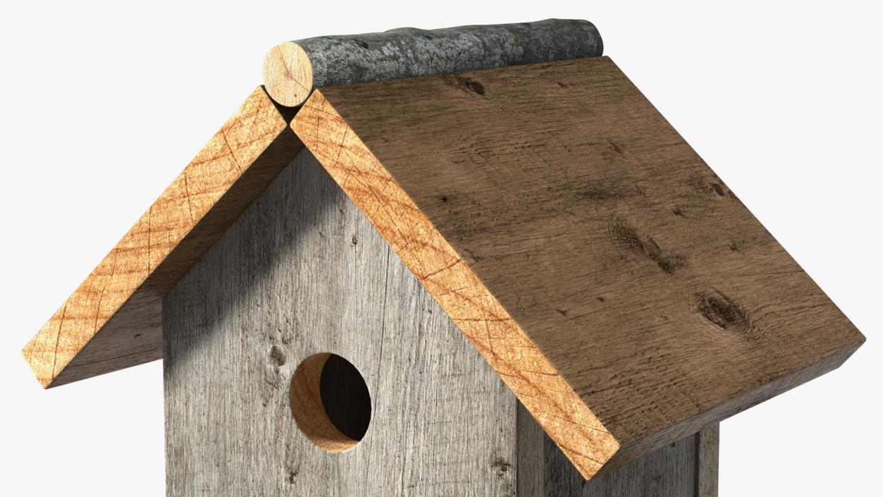 3D model Bird House