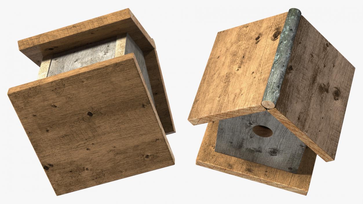 3D model Bird House