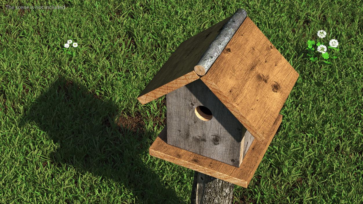 3D model Bird House