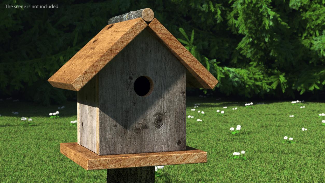 3D model Bird House