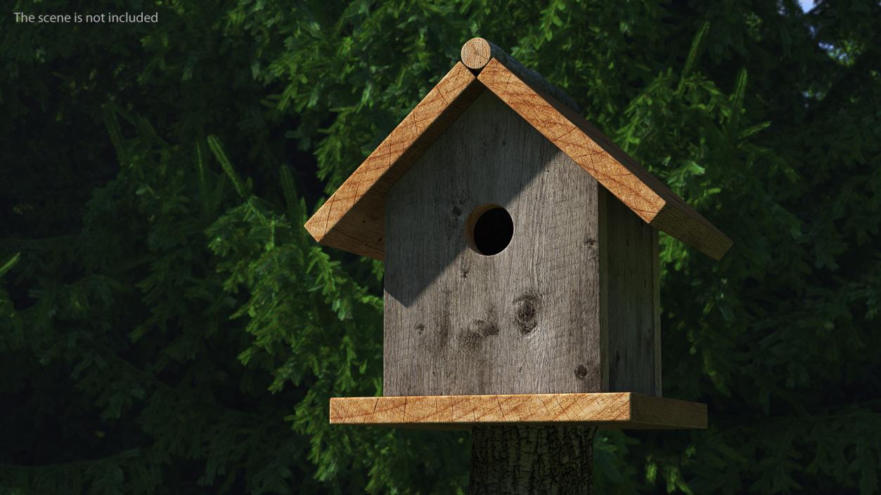 3D model Bird House