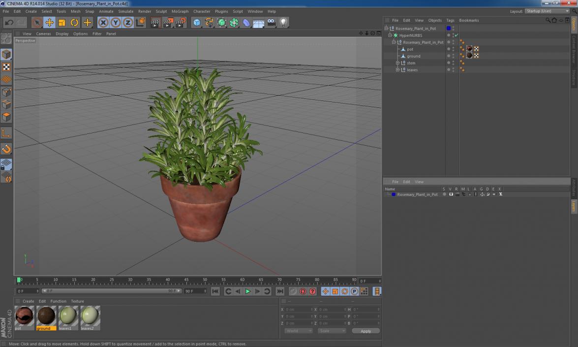 3D Rosemary Plant in Pot