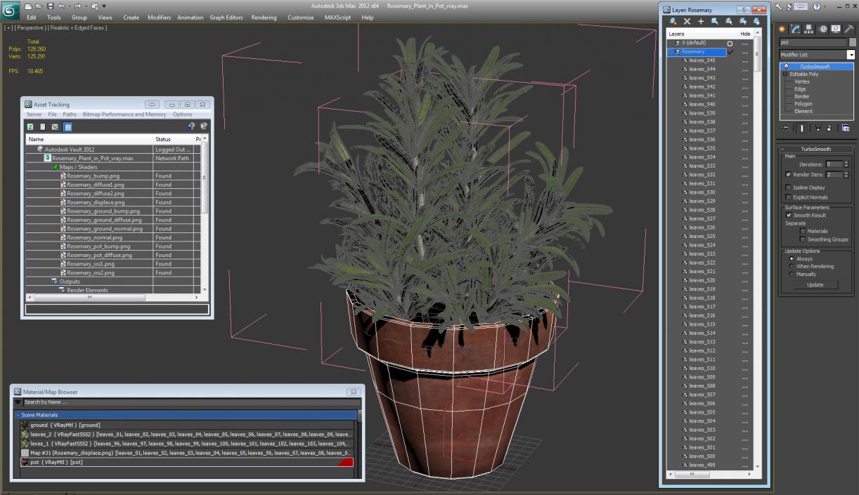 3D Rosemary Plant in Pot