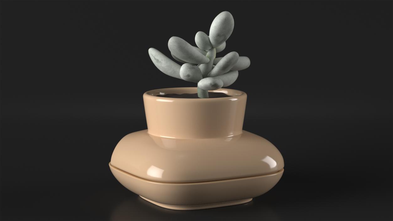 3D model Single Herb Pot Sagaform Beige