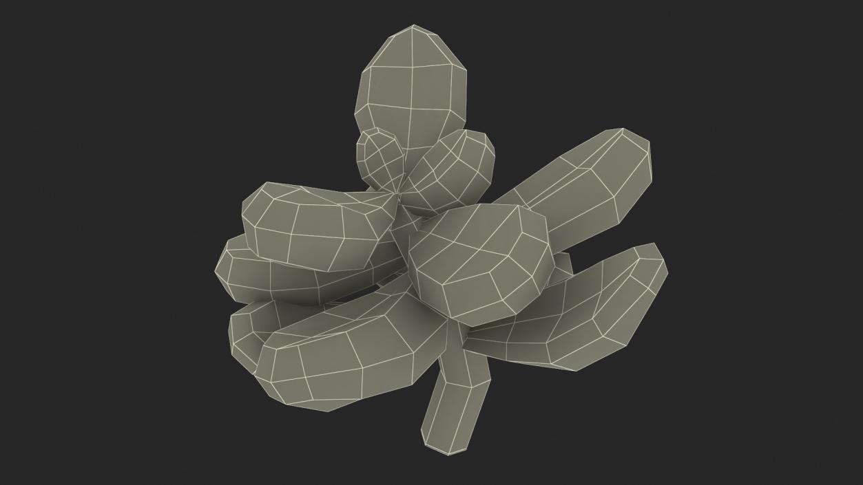 3D model Single Herb Pot Sagaform Beige