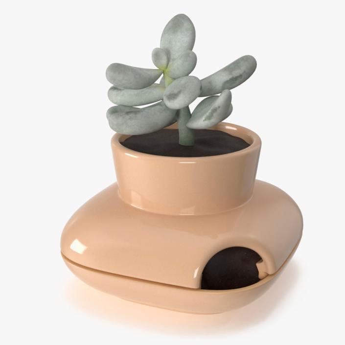 3D model Single Herb Pot Sagaform Beige