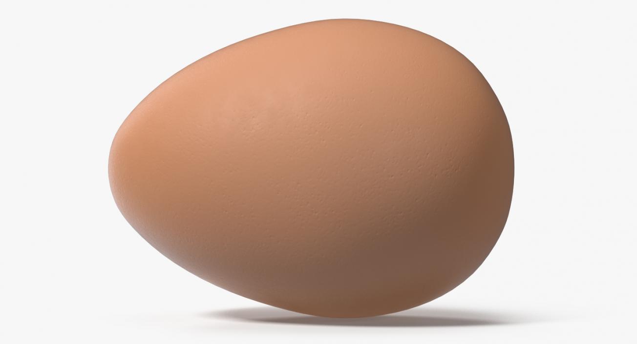 3D Chicken Eggs Collection model