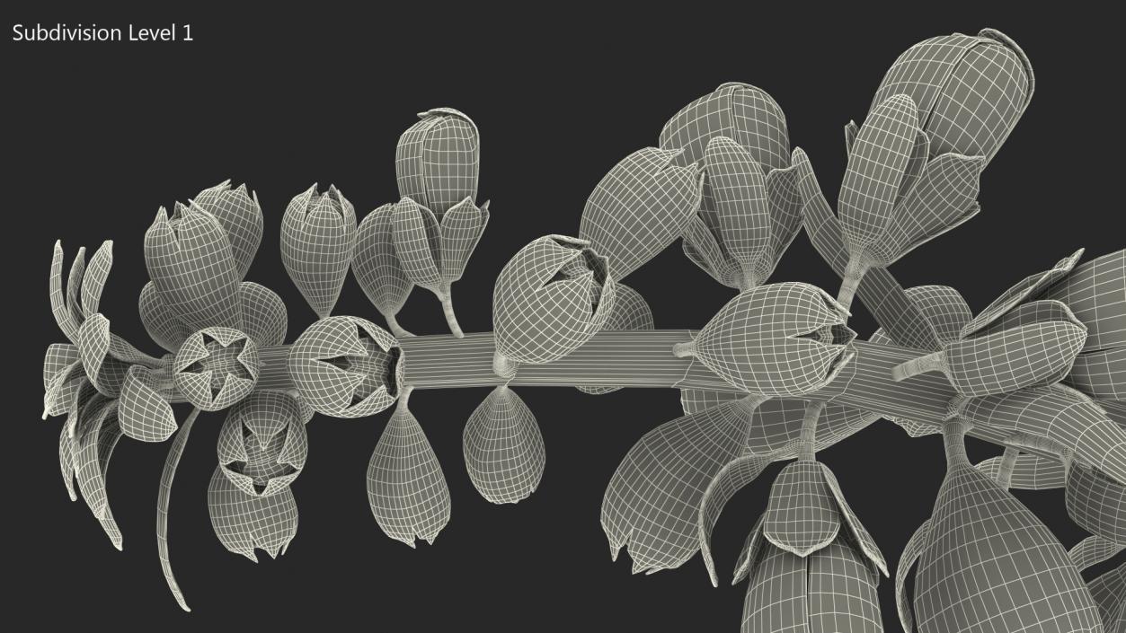 White Foxglove Stem 3D model