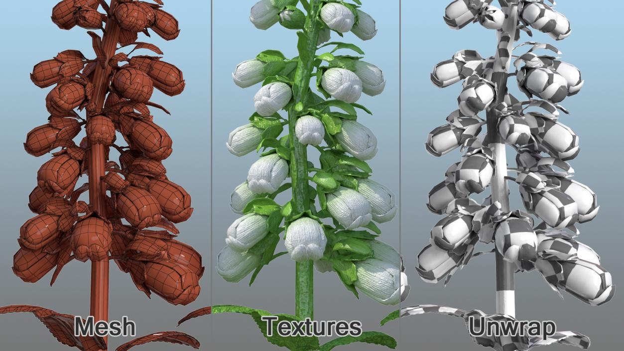 White Foxglove Stem 3D model