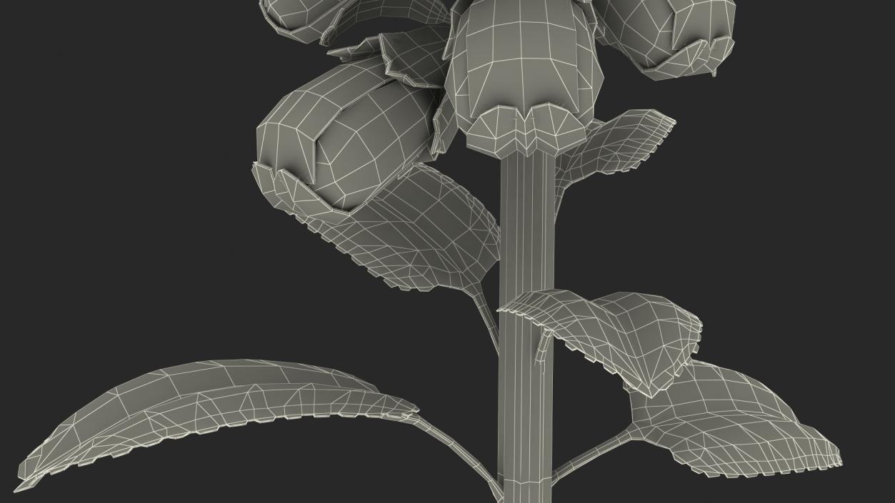 White Foxglove Stem 3D model