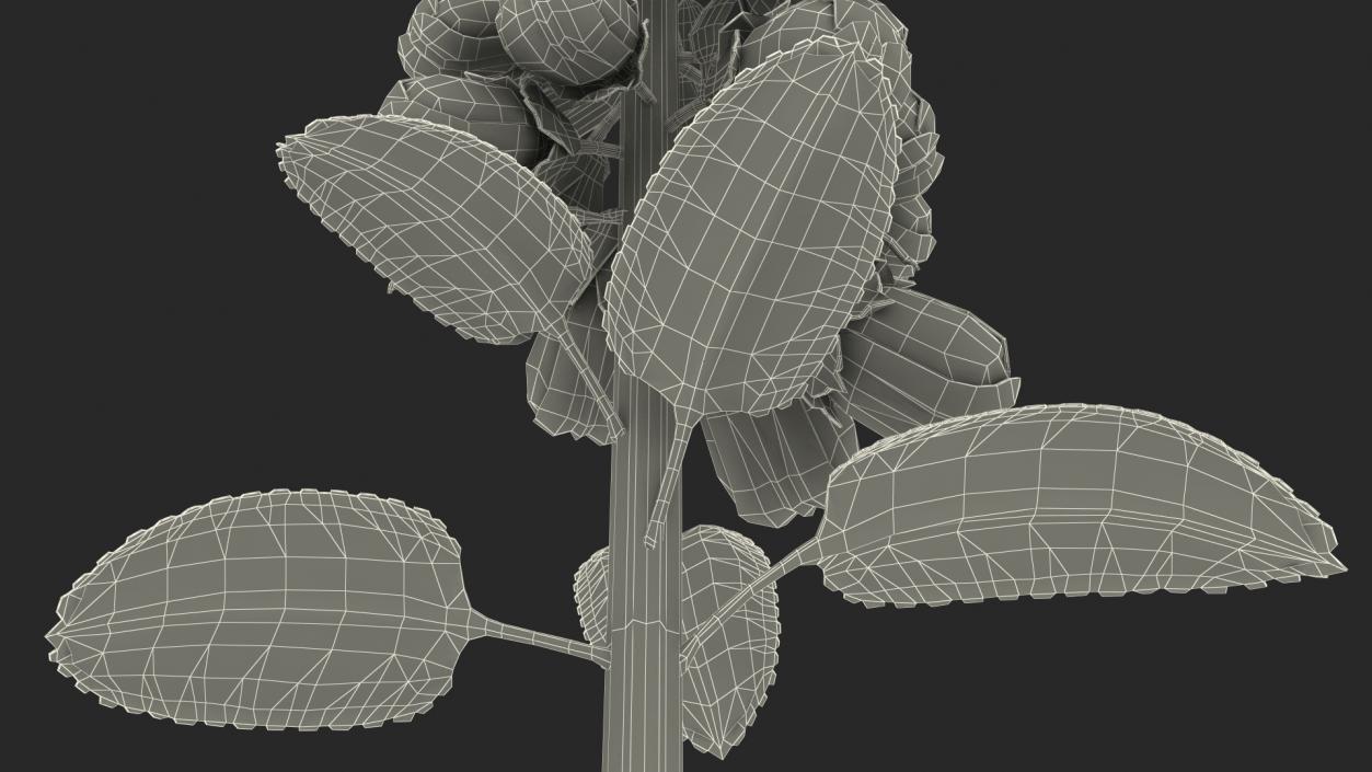 White Foxglove Stem 3D model