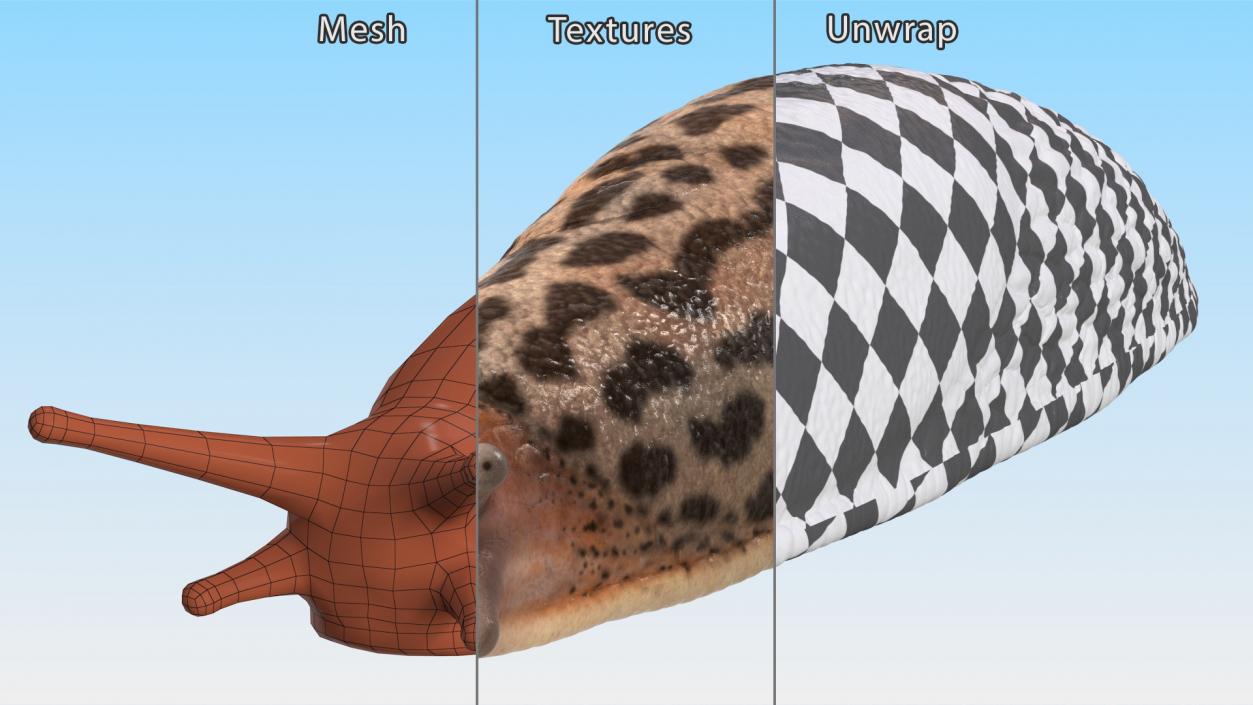 3D Rigged Slugs Collection model