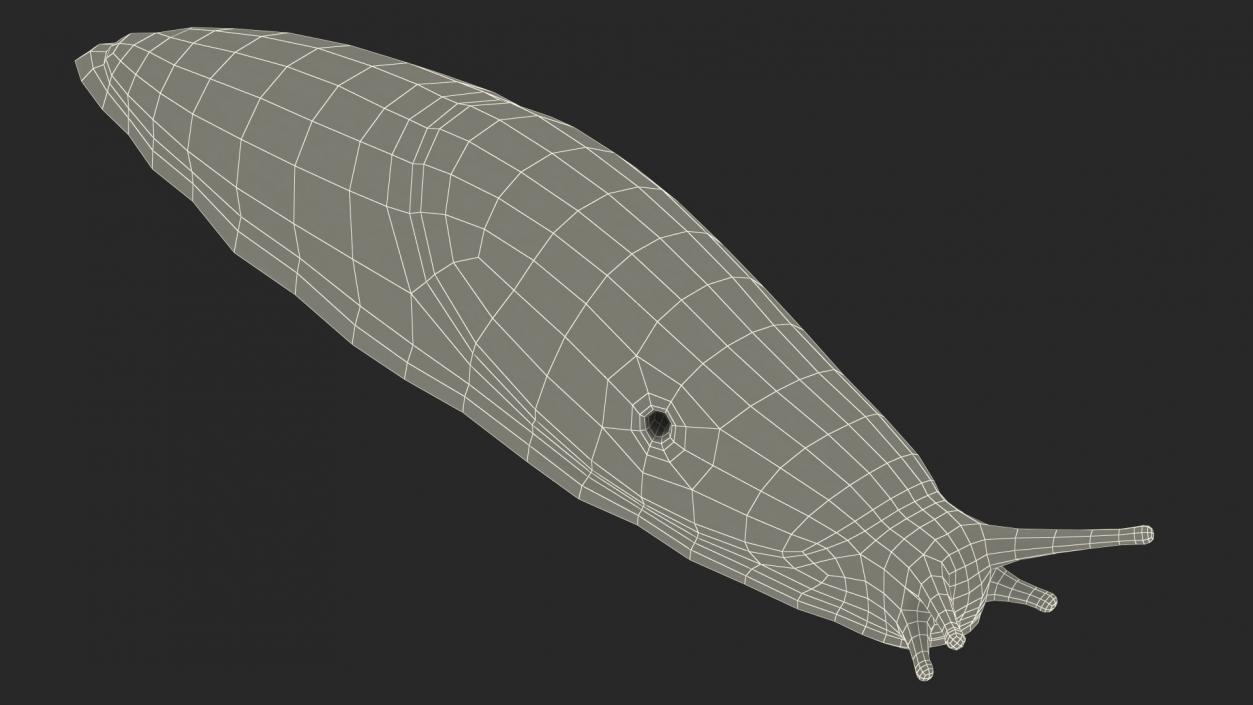 3D Rigged Slugs Collection model