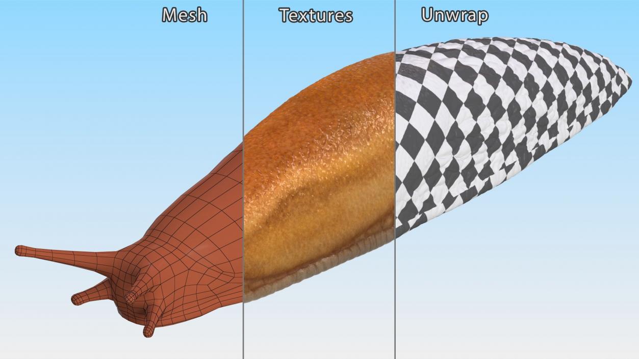 3D Rigged Slugs Collection model