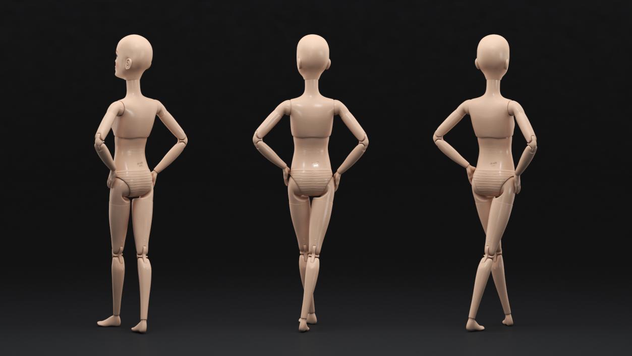 Barbie Doll Without Clothes 3D