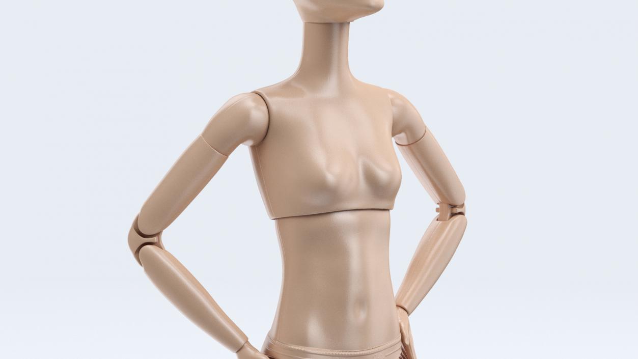 Barbie Doll Without Clothes 3D