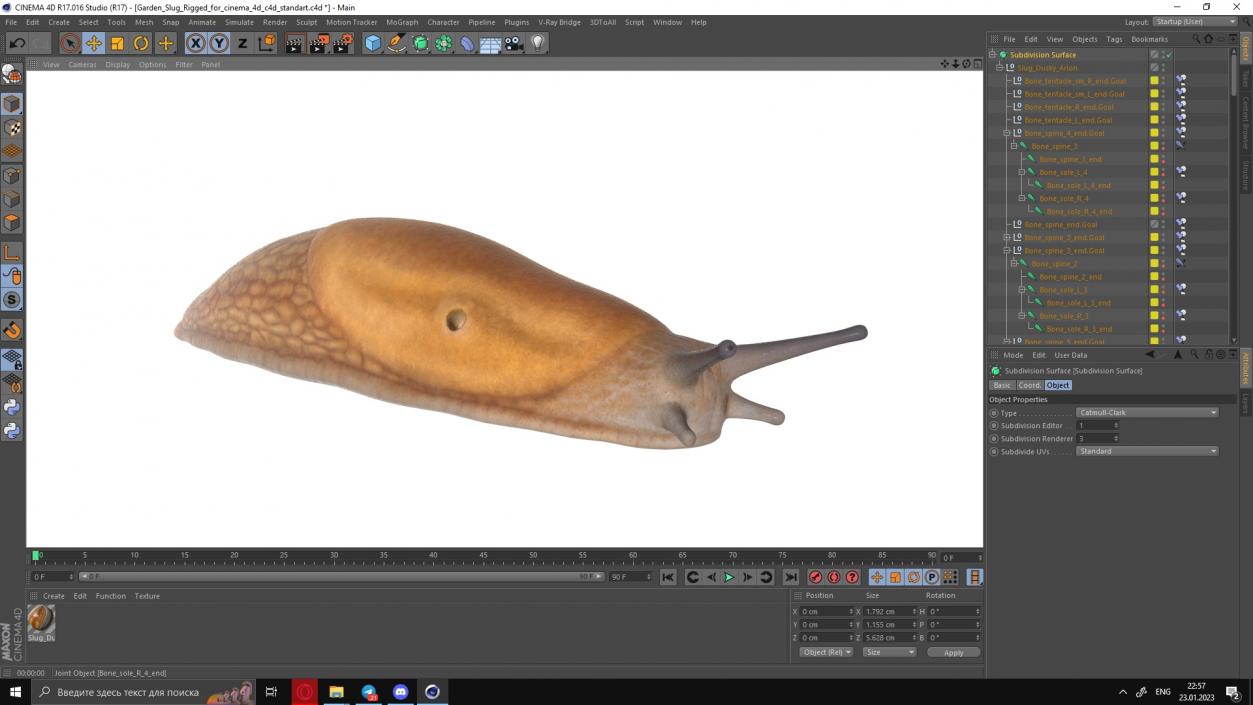 Slug Dusky Arion Rigged for Cinema 4D 3D