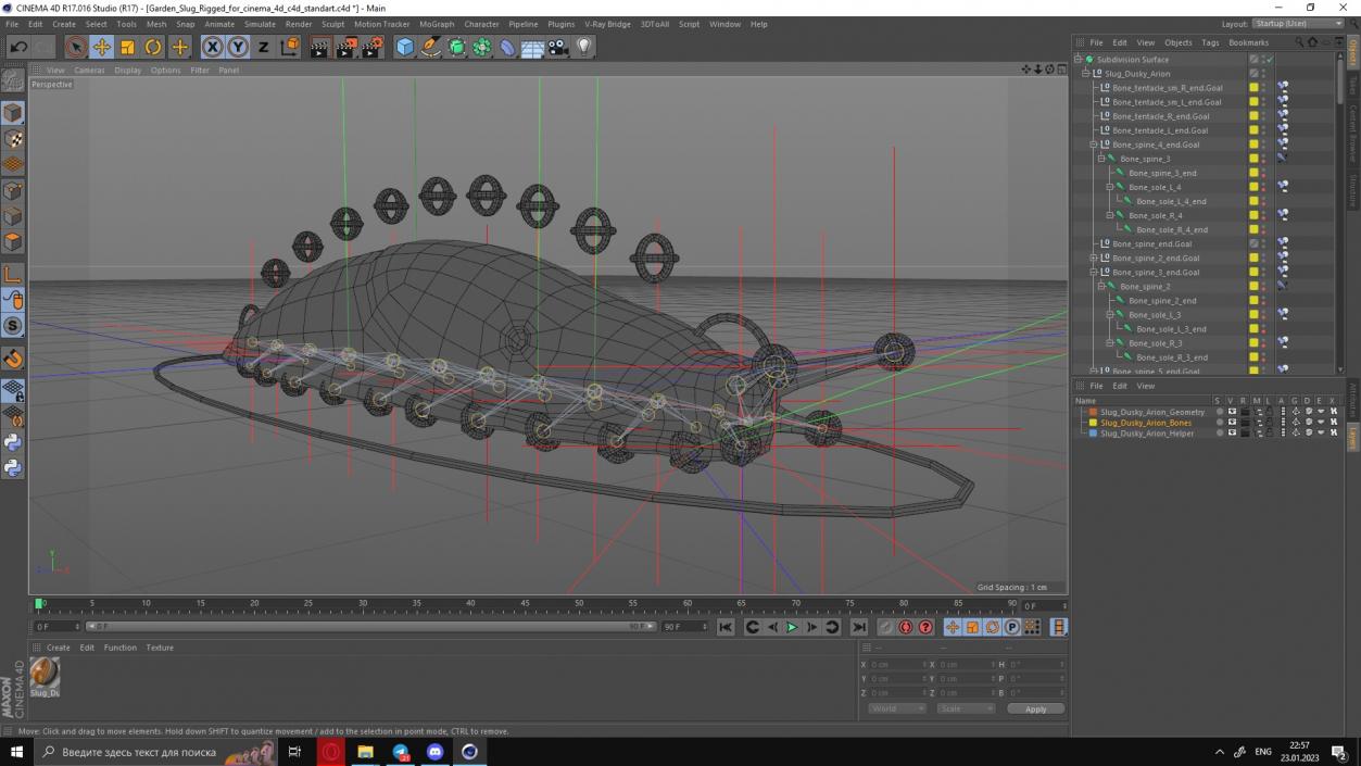 Slug Dusky Arion Rigged for Cinema 4D 3D