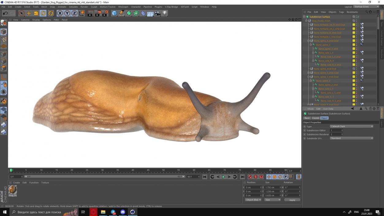 Slug Dusky Arion Rigged for Cinema 4D 3D