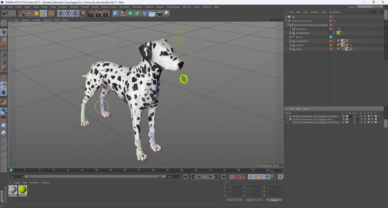 Spotted Dalmatian Dog Rigged for Cinema 4D 3D