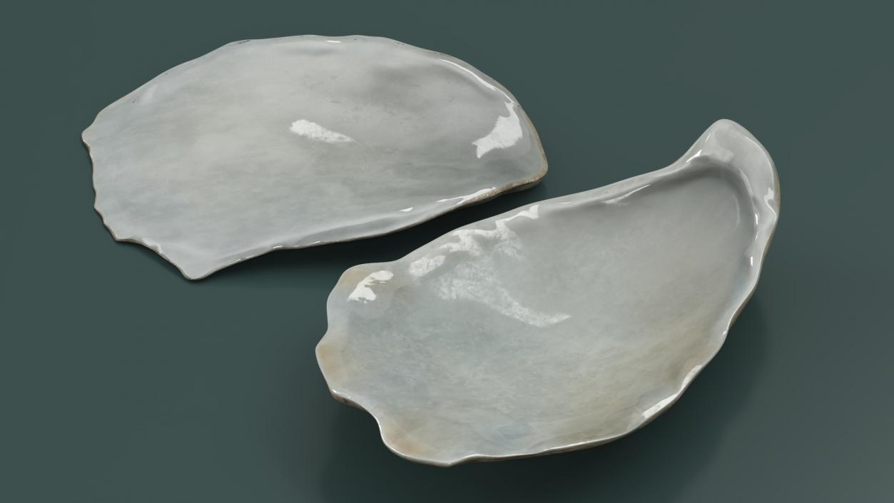 3D model Closed Oyster 2