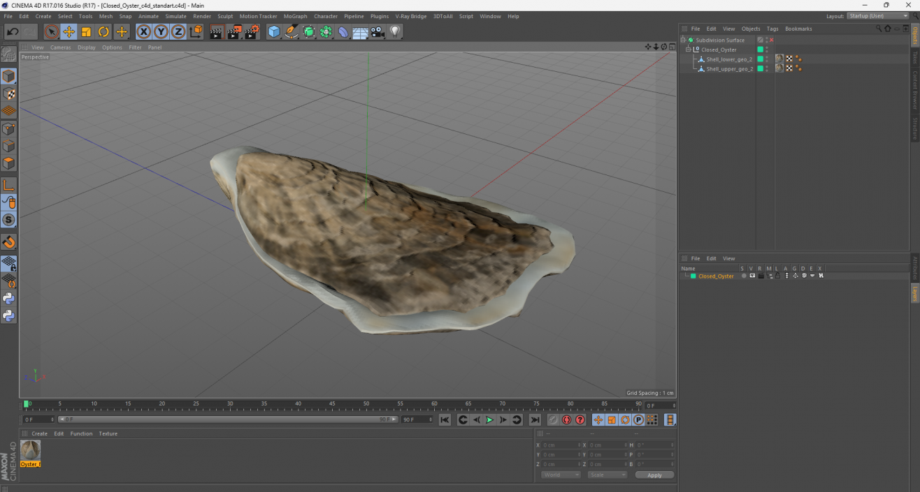 3D model Closed Oyster 2