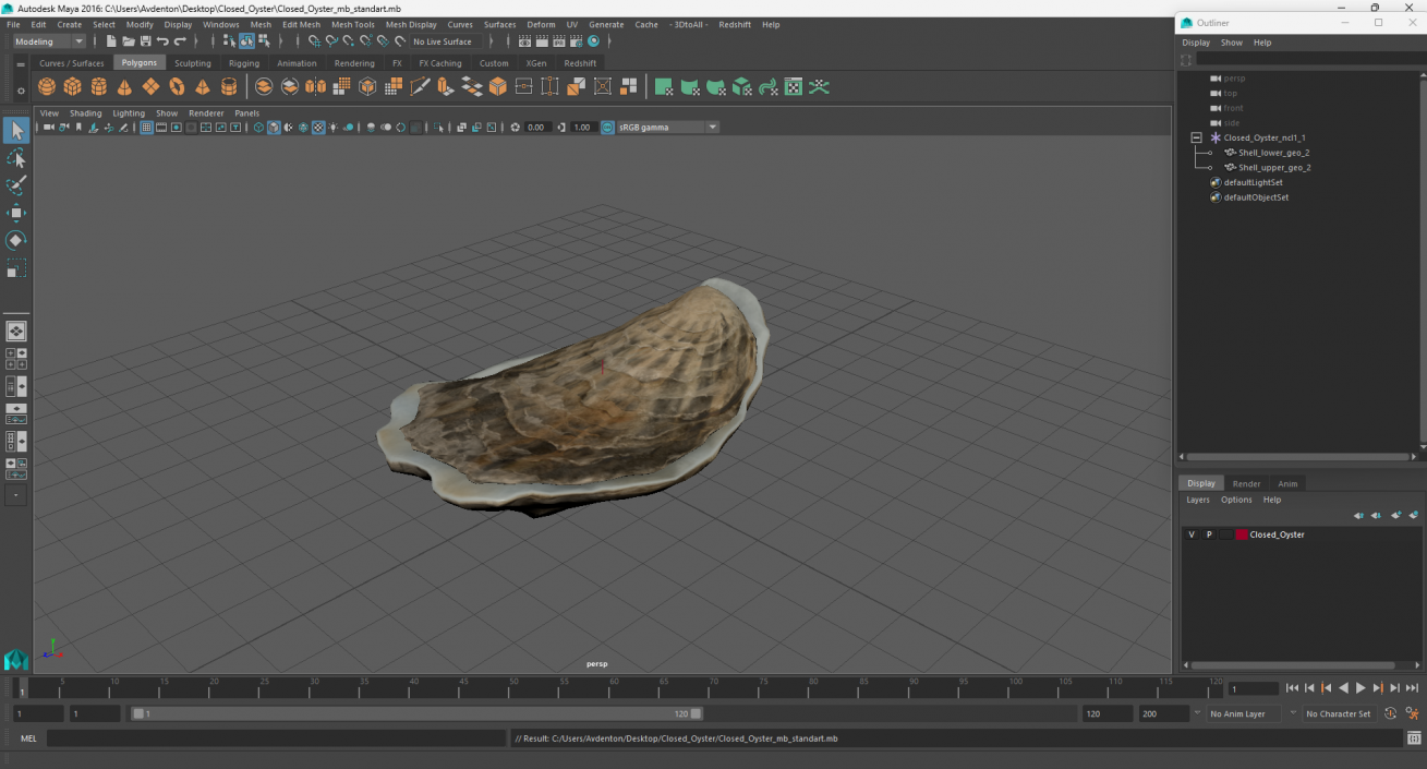 3D model Closed Oyster 2