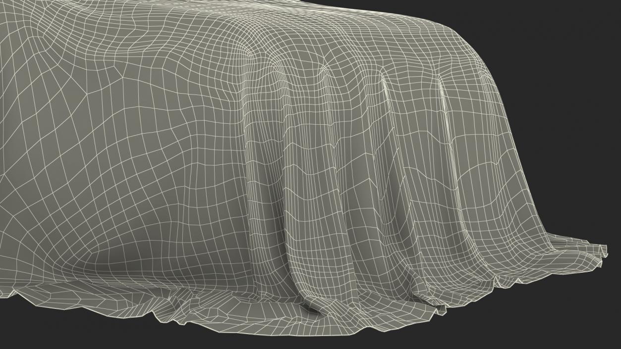 SUV Cover Material Protection 3D model