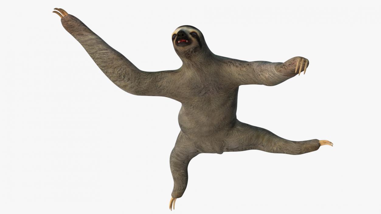 Sloth Rigged 3D