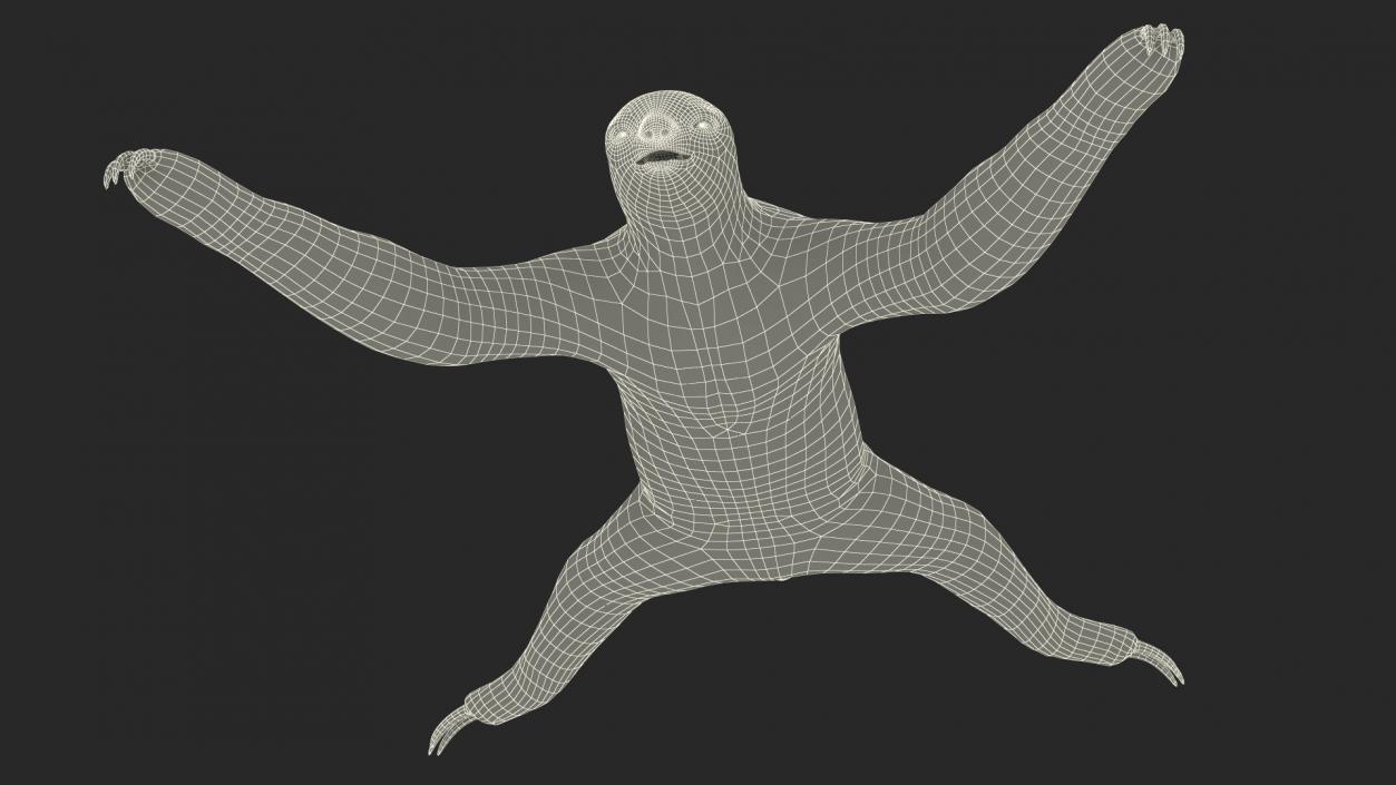 Sloth Rigged 3D