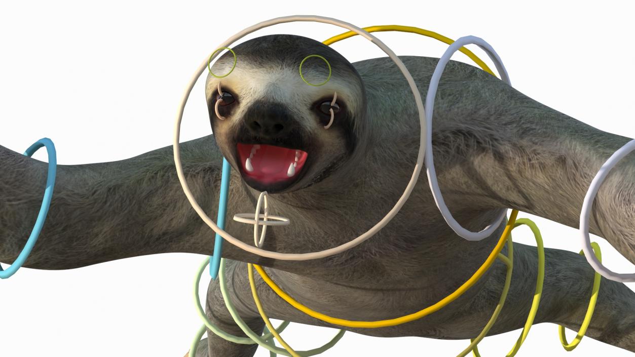 Sloth Rigged 3D