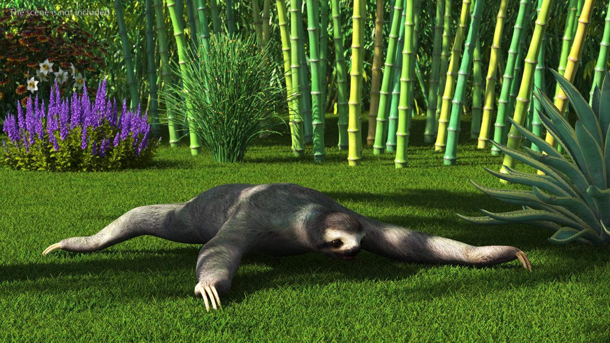 Sloth Rigged 3D