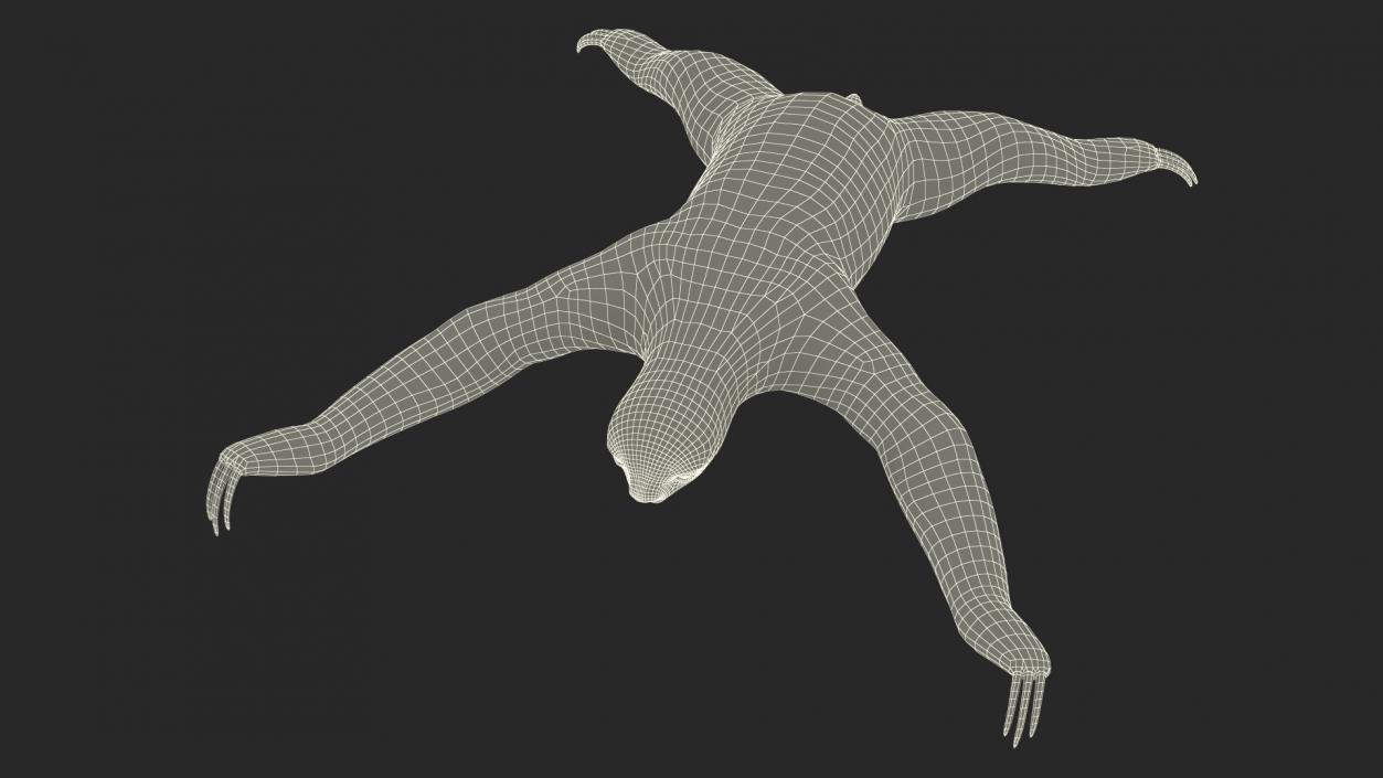 Sloth Rigged 3D