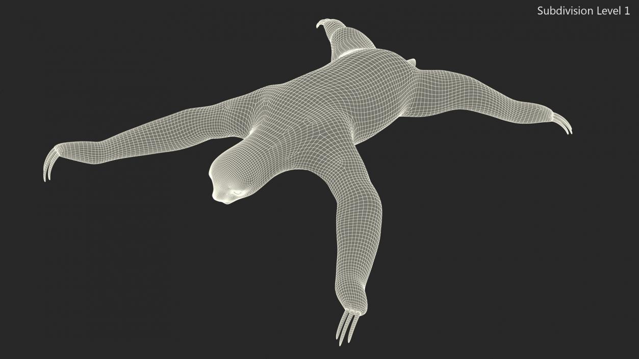 Sloth Rigged 3D