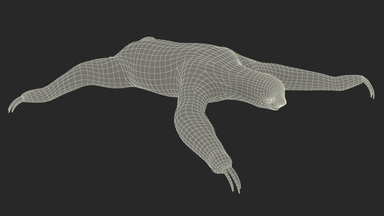 Sloth Rigged 3D