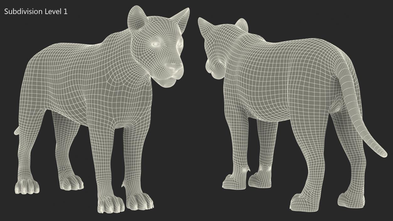 3D White Young Lion