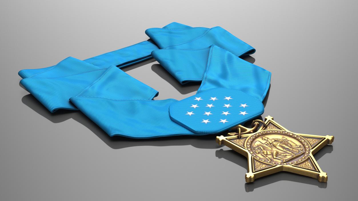 3D US Navy Medal of Honor Lying model